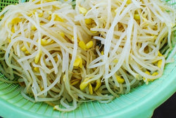 Sookju NAMUL 500 GM