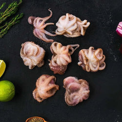 Baby Octopus