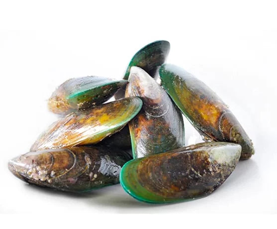 GREEN MUSSELS WITH SHELL-10/20